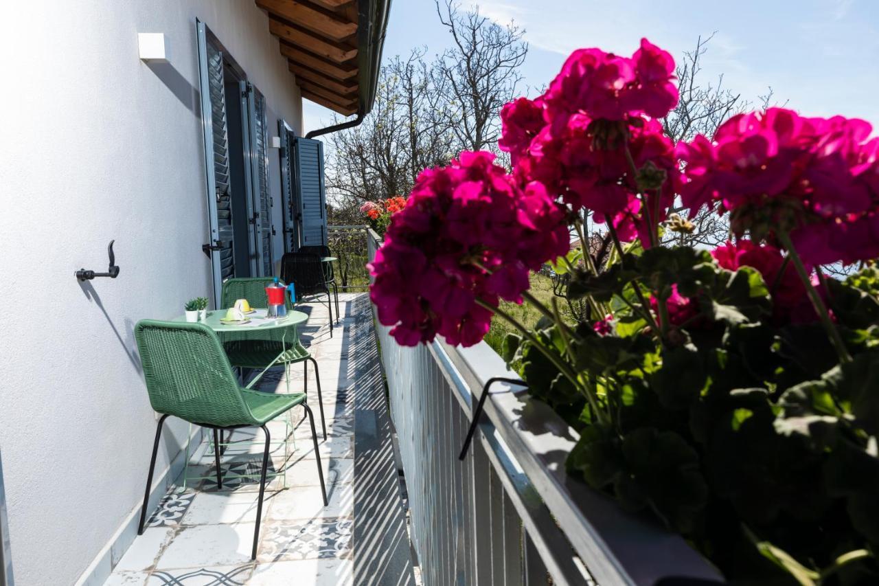 Plein Sud Agerola Bed & Breakfast San Lazzaro di Agerola ภายนอก รูปภาพ